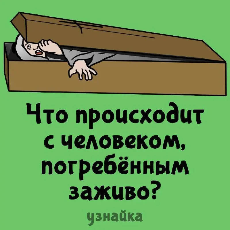 Чувствуете, что тупеете?🤦‍♂️ Не дайте своему мозгу деградировать!
Бегом в узнайку ( за порцией интересной инфы в забавных картинках👇
В этом посте были ссылки, но мы их удалили по правилам Сетки | Сетка — социальная сеть от hh.ru