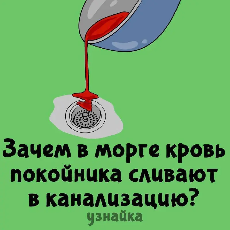 Чувствуете, что тупеете?🤦‍♂️ Не дайте своему мозгу деградировать!
Бегом в узнайку ( за порцией интересной инфы в забавных картинках👇
В этом посте были ссылки, но мы их удалили по правилам Сетки | Сетка — социальная сеть от hh.ru