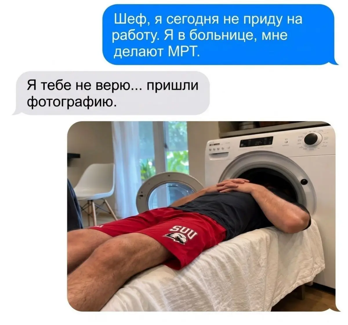 Какие самые нелепые или необычные поводы не выхода на работу вам встречались? как реагировали? делали послабления за оригинальность и нетривиальность? | Сетка — социальная сеть от hh.ru