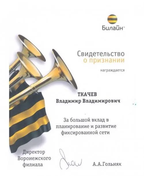 Network member avatar