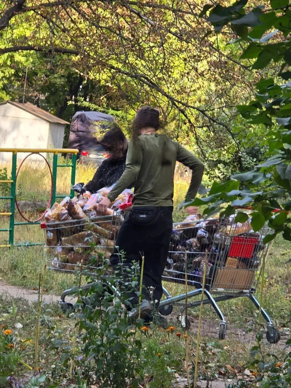 Сотрудники магазина «Молоко» на проспекте Партизанском выбрасывают хлеб | Сетка — социальная сеть от hh.ru
