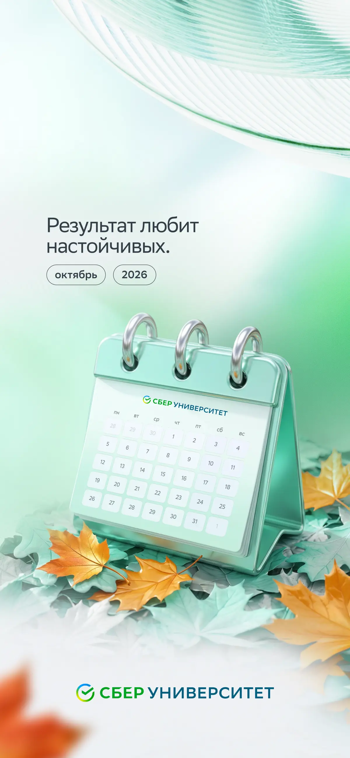 Новые заставки 💚 | Сетка — социальная сеть от hh.ru
