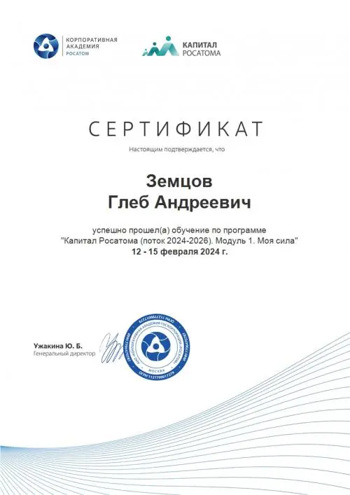 Network member avatar