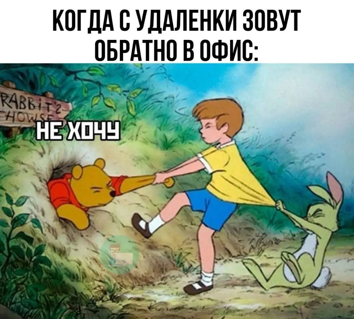 Удаленка или офис | Сетка — социальная сеть от hh.ru