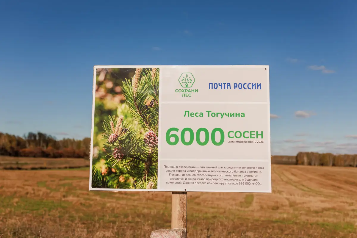 💚🌲 Зелёный след Почты: В УФПС Новосибирской области появился новый «Почтовый лес»! 💙💚
«Сохрани лес» — это не просто красивый лозунг, а ежедневная забота о природе | Сетка — социальная сеть от hh.ru