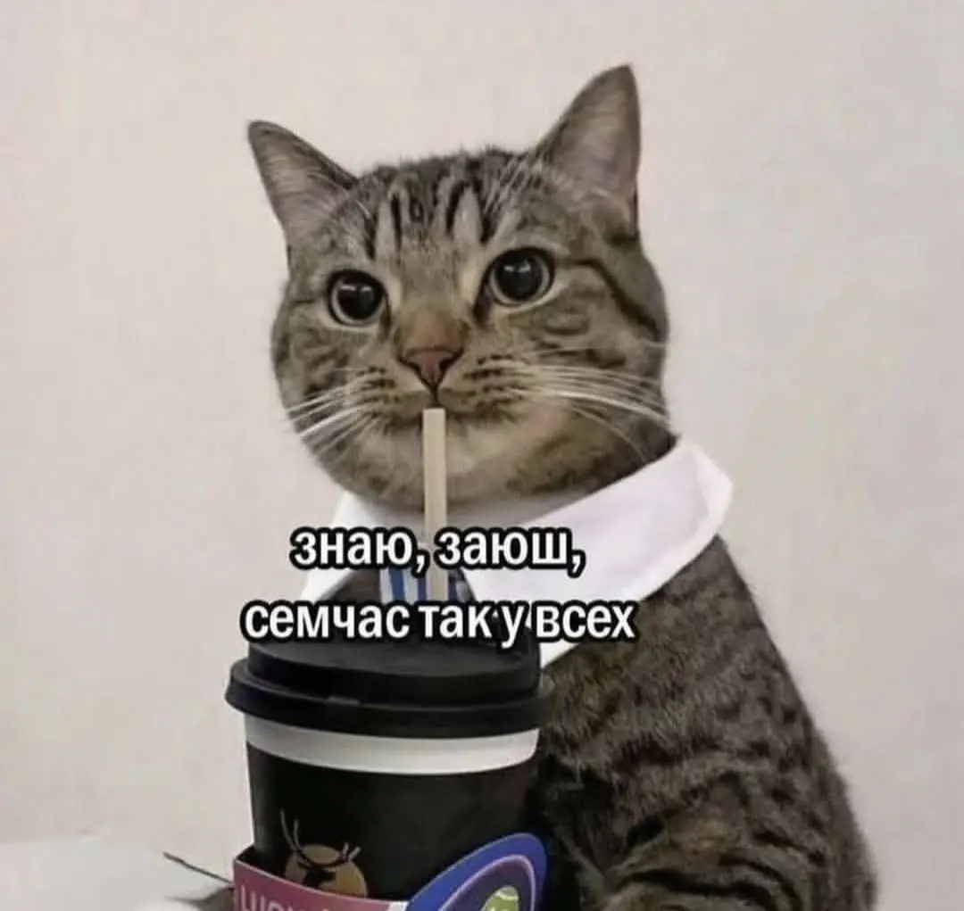 Так везде... | Сетка — социальная сеть от hh.ru