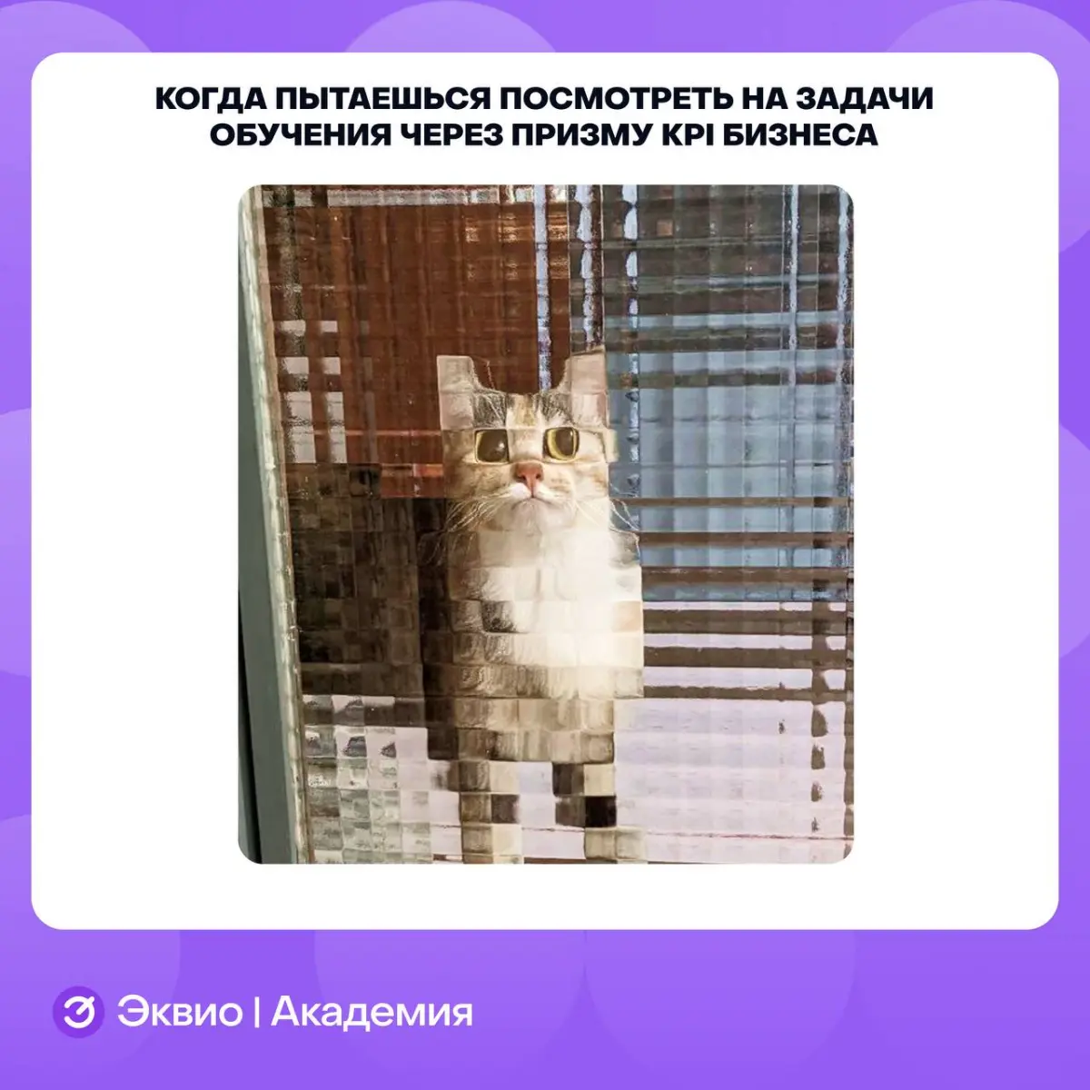 Продолжаю публиковать мемы своего авторства 😄
#hr #мемыhr #обучение #мемы | Сетка — социальная сеть от hh.ru