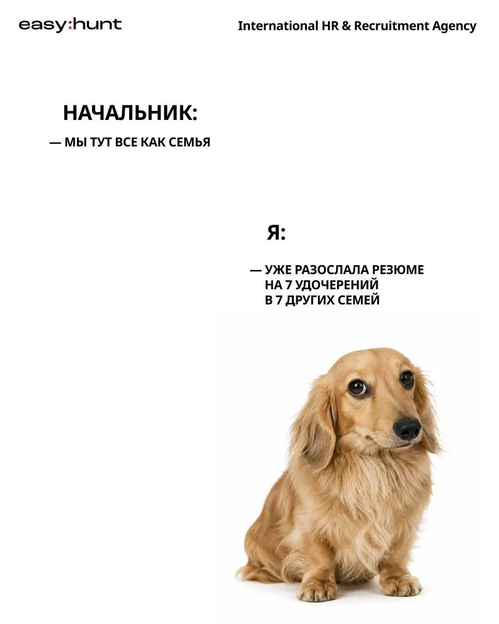 В наш бот тоже можешь отослать 🤭
@easyhuntCVbot | Сетка — социальная сеть от hh.ru