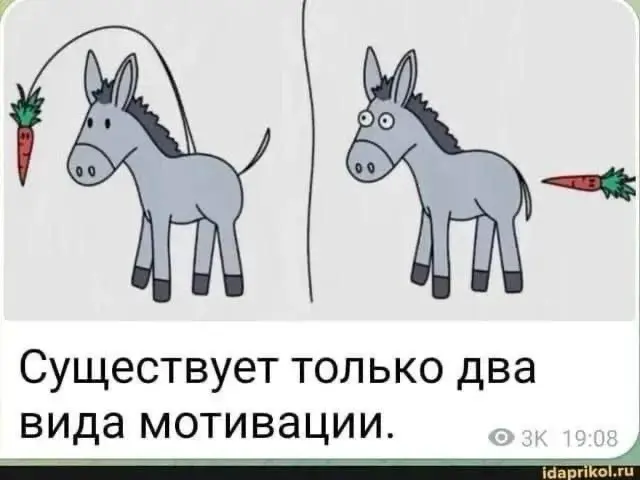 Не для всех конечно 😁 | Сетка — социальная сеть от hh.ru
