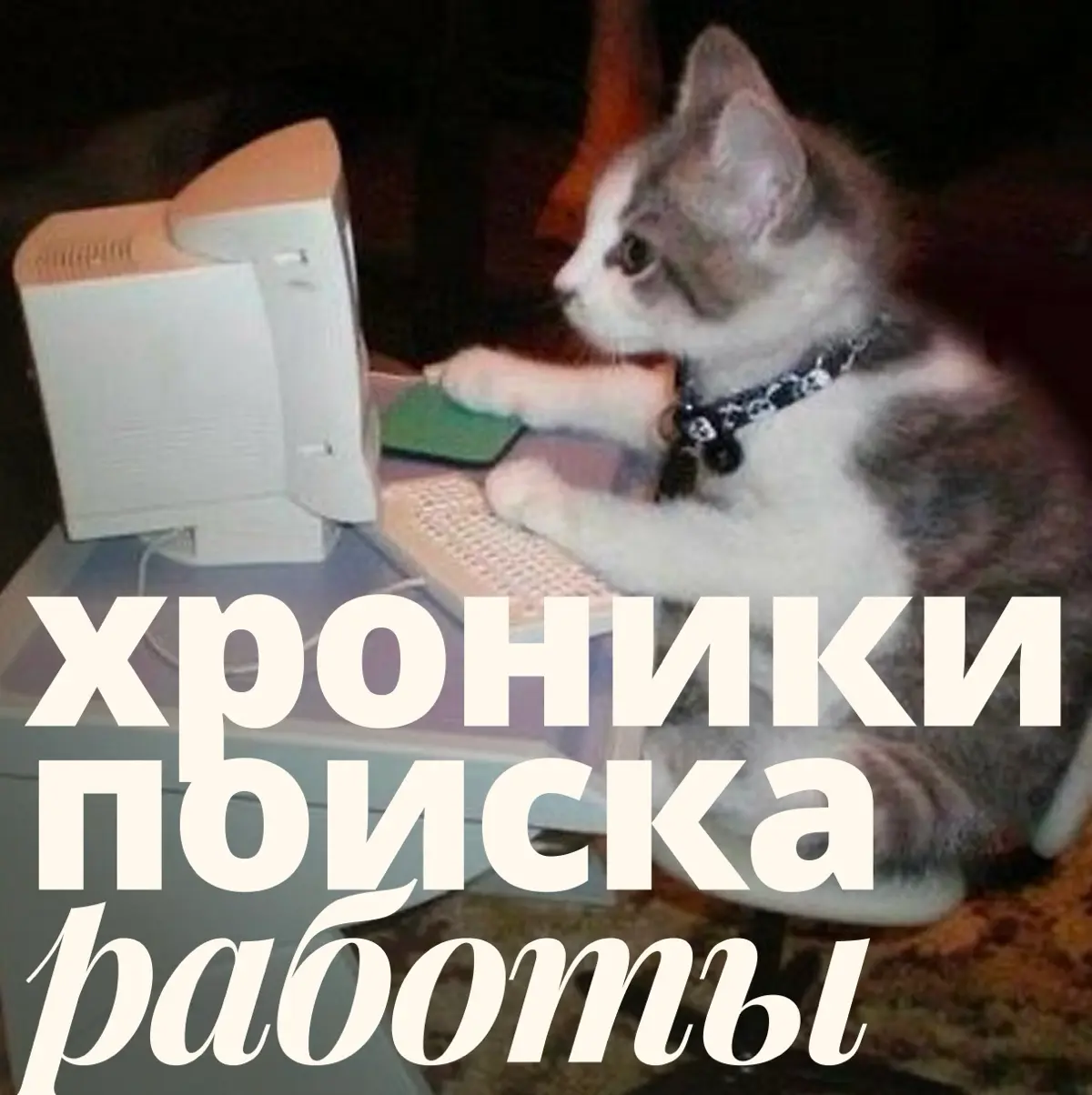 Ещё одно собеседование | Сетка — социальная сеть от hh.ru