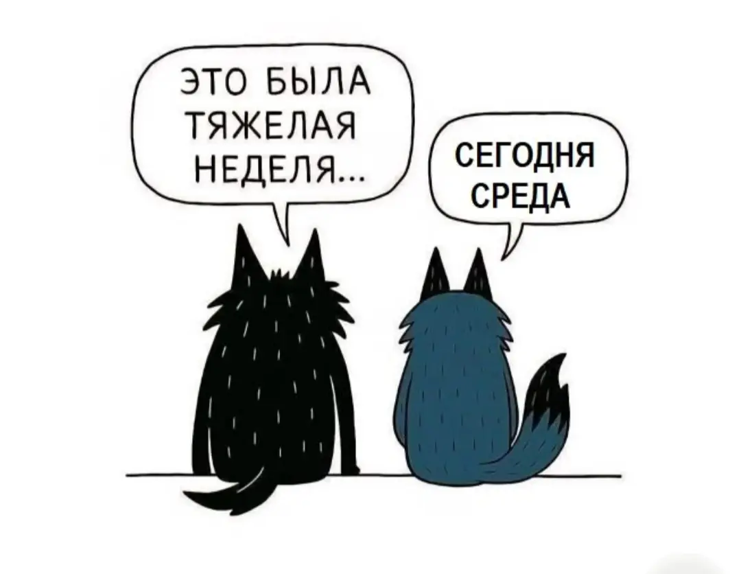 Когда среда ощущается как пятница… только почему-то завтра опять работа 😂
#среда #рабочиебудни #работа #офис #рабочеенастроение #загрузка #HR #рекрутинг #пятницаблизко #будни | Сетка — социальная сеть от hh.ru