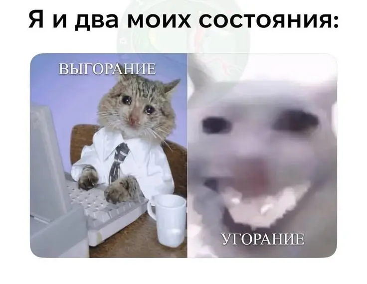 Пост-знакомство | Сетка — социальная сеть от hh.ru