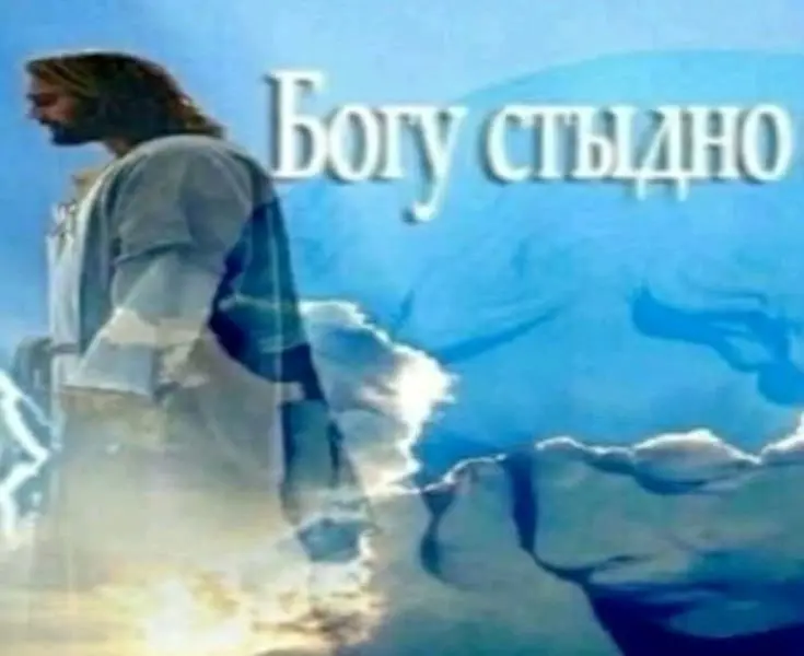 Подписчики, довольны? | Сетка — социальная сеть от hh.ru