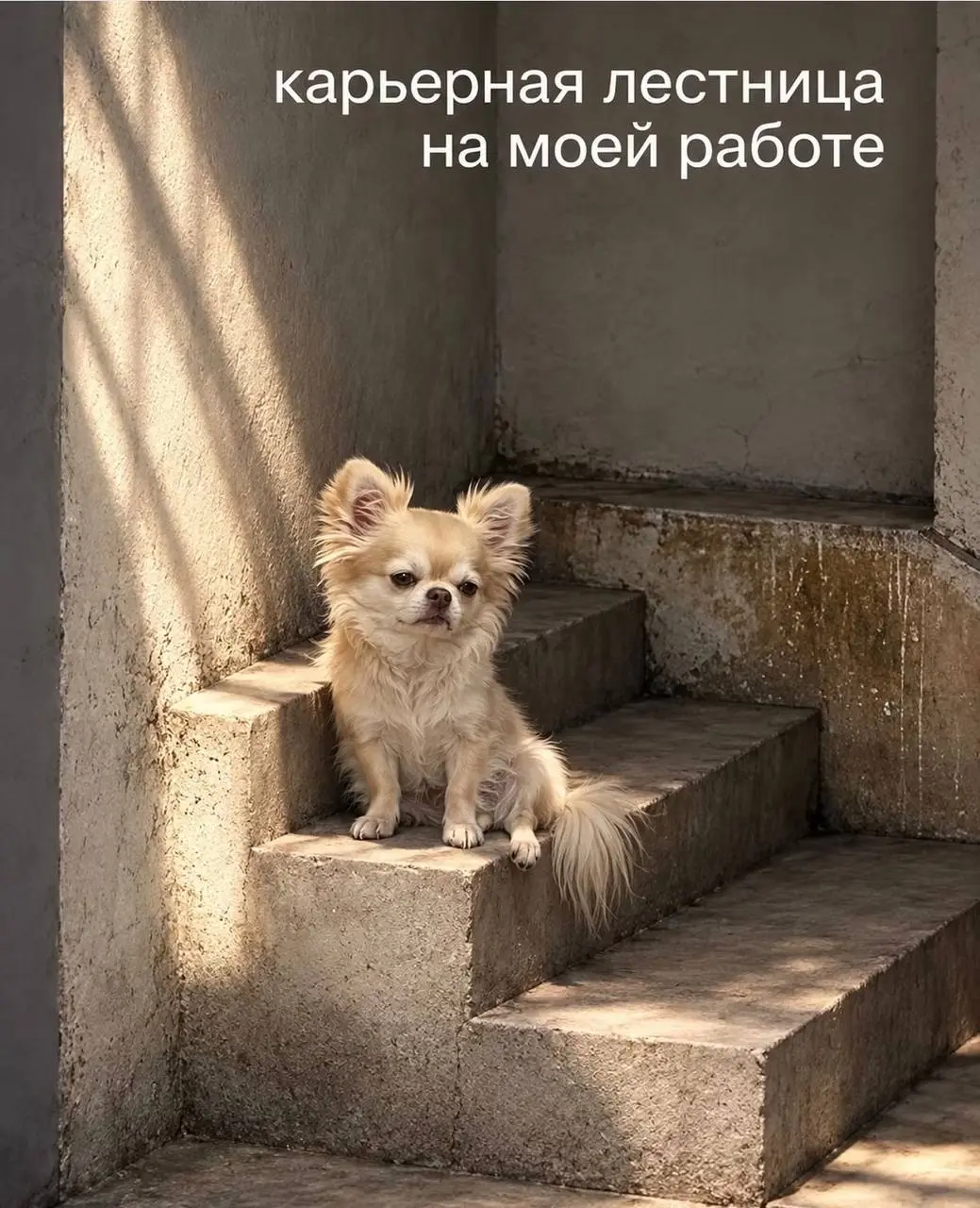 Почему-то (действительно, почему бы ??) очень смешно 😂 | Сетка — социальная сеть от hh.ru