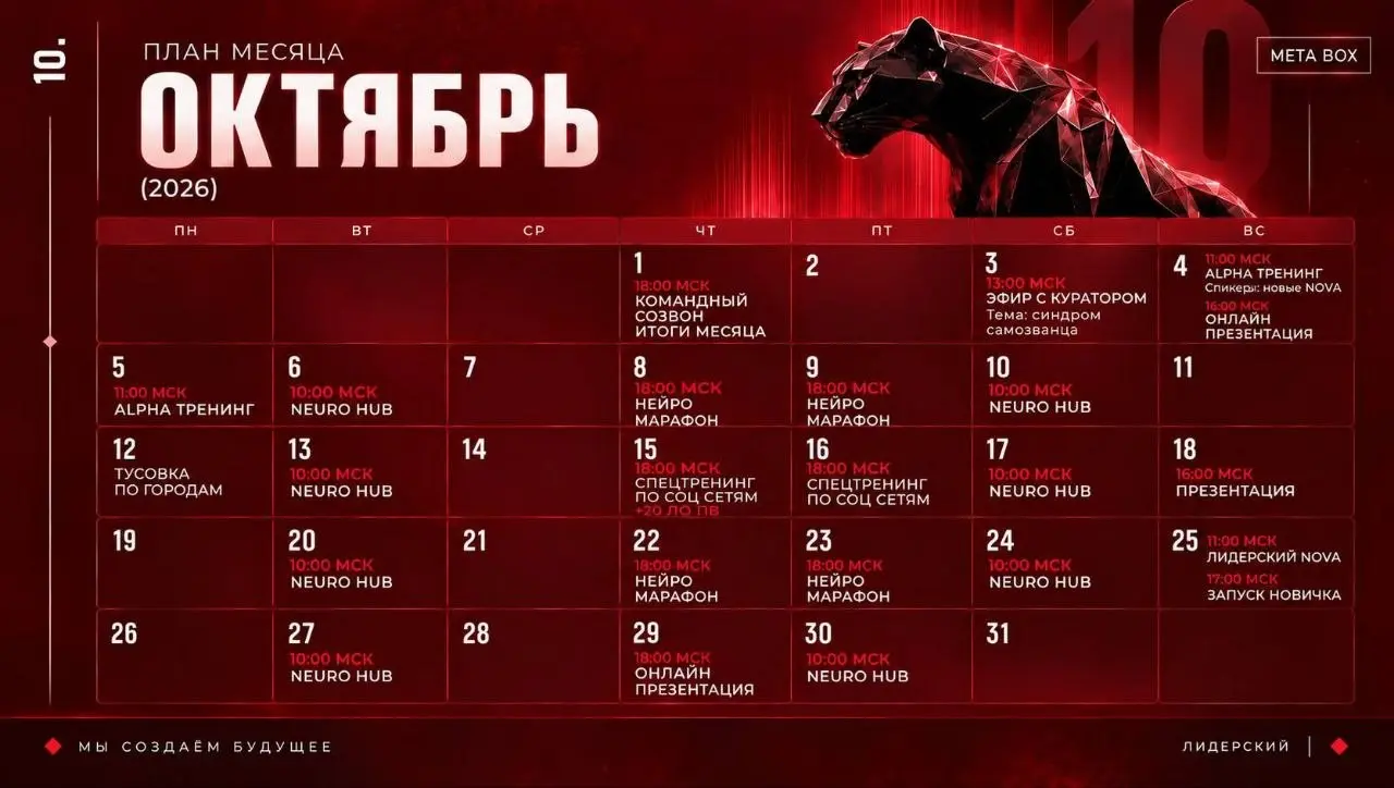 Вот такой вот у меня плотный график на октябрь.
Созвоны в 10 утра конечно я пропускаю и смотрю в записи, но те которые после 15:00 стараюсь посещать | Сетка — социальная сеть от hh.ru