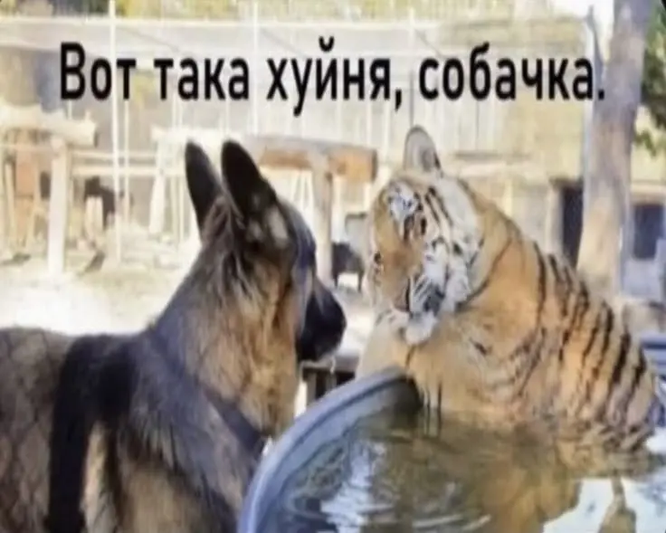Очевидный инновационный (нет) Навигатор по складам и магазам | Сетка — социальная сеть от hh.ru