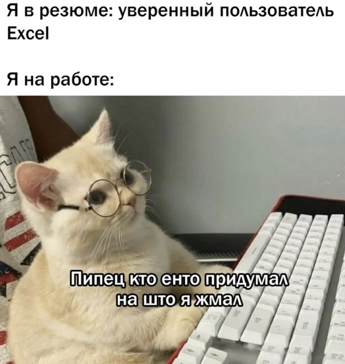 😹😹😹 | Сетка — социальная сеть от hh.ru