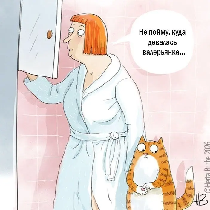 Куда девалась.... 😂
От любимого клиента Елены ❤️
БЛОГ В ТГ / БЛОГ В MAX
#Юмор      #Котя
В этом посте были ссылки, но мы их удалили по правилам Сетки | Сетка — социальная сеть от hh.ru