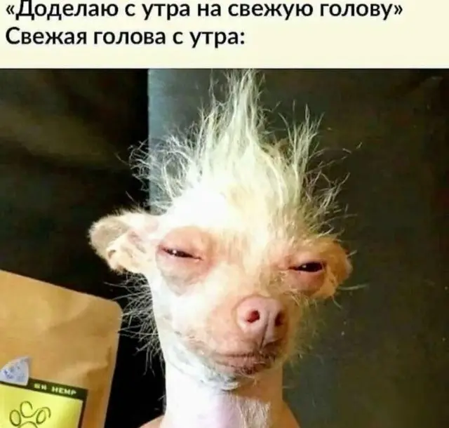 Доделаю с утра | Сетка — социальная сеть от hh.ru