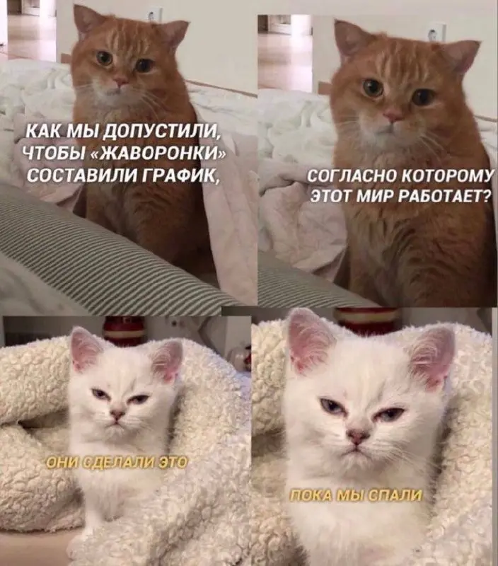 Надо начинать ложиться пораньше… | Сетка — социальная сеть от hh.ru