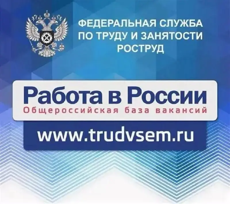 Портал Работа в России | Сетка — социальная сеть от hh.ru