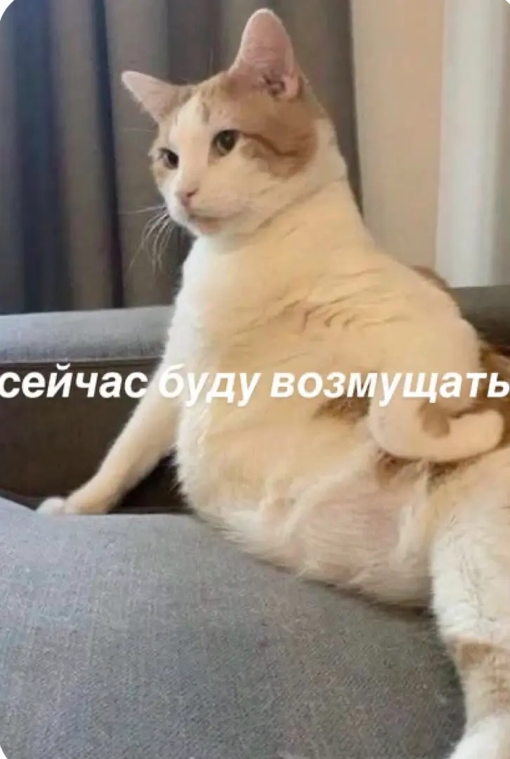Хорошая новость для тех, кто в поиске 👀 | Сетка — социальная сеть от hh.ru