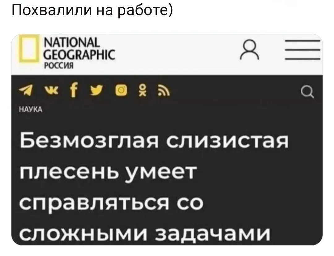 Ознакомился | Сетка — социальная сеть от hh.ru