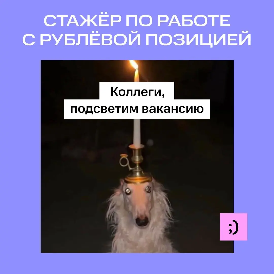 Новый день — новые возможности 😎 | Сетка — социальная сеть от hh.ru
