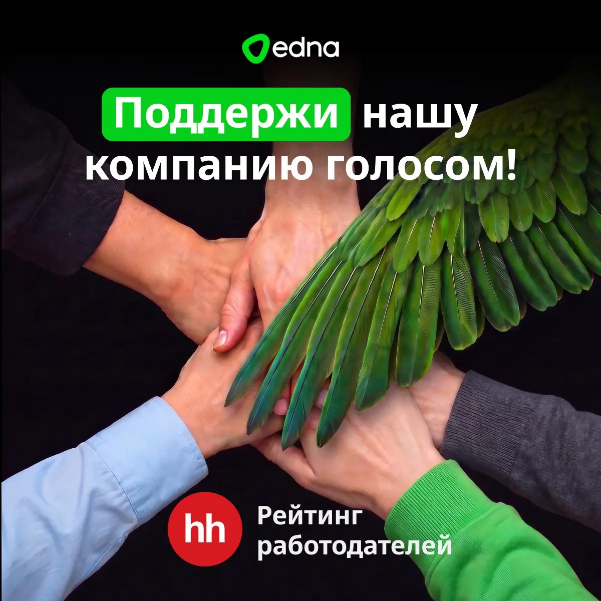 Друзья, привет!
edna участвует в рейтинге работодателей от hh | Сетка — социальная сеть от hh.ru