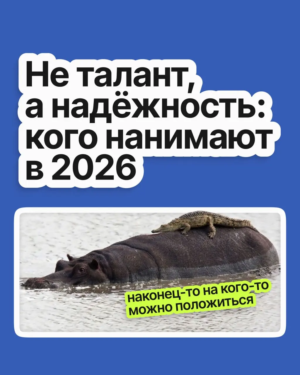 Талант и огромный опыт перестали быть главным аргументом в найме: сегодня работодатель, боясь ошибиться и потратить лишние ресурсы, выбирает совсем другого кандидата | Сетка — социальная сеть от hh.ru