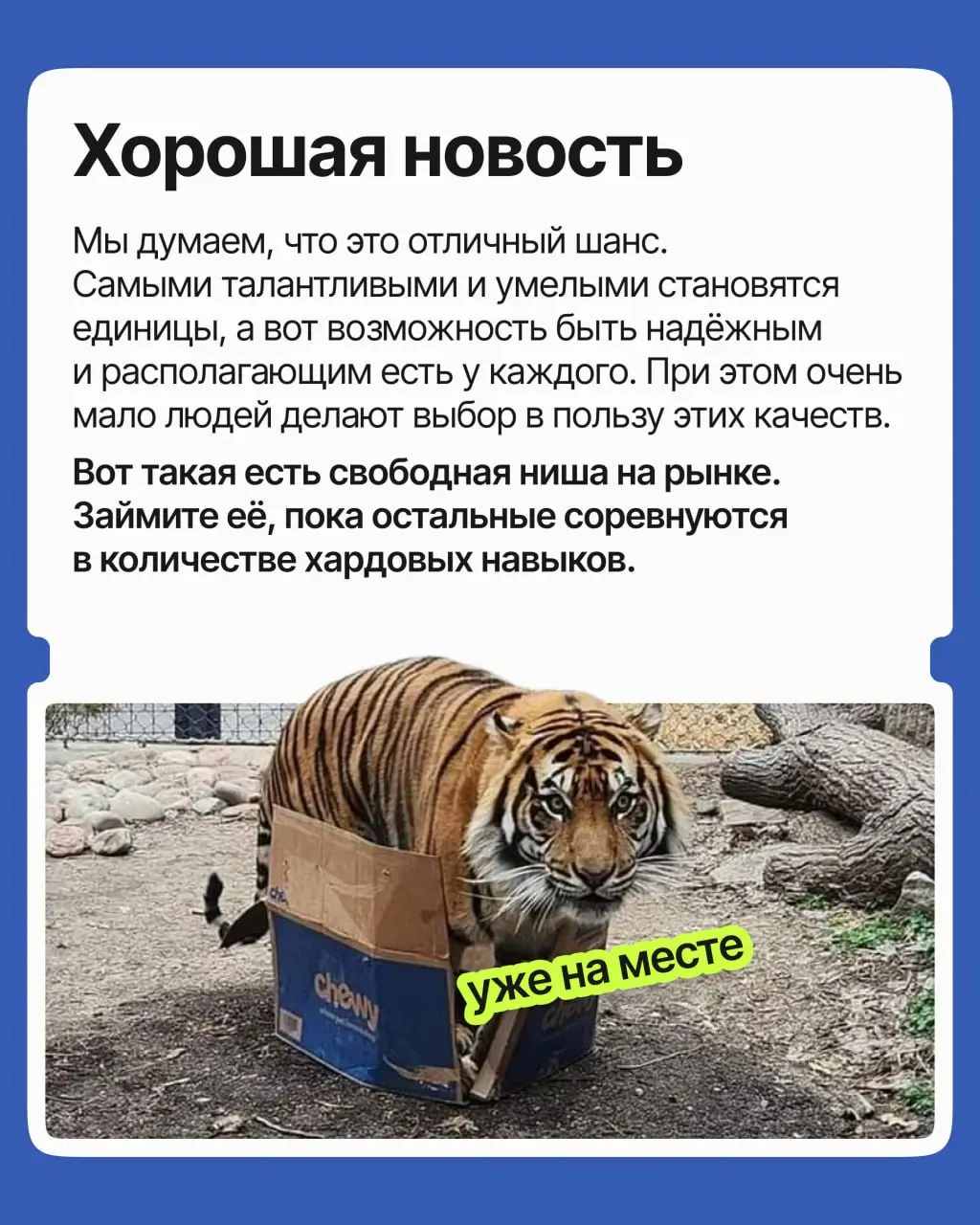 Талант и огромный опыт перестали быть главным аргументом в найме: сегодня работодатель, боясь ошибиться и потратить лишние ресурсы, выбирает совсем другого кандидата | Сетка — социальная сеть от hh.ru