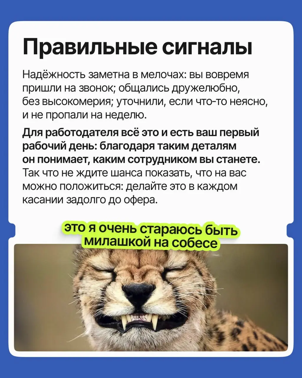 Талант и огромный опыт перестали быть главным аргументом в найме: сегодня работодатель, боясь ошибиться и потратить лишние ресурсы, выбирает совсем другого кандидата | Сетка — социальная сеть от hh.ru