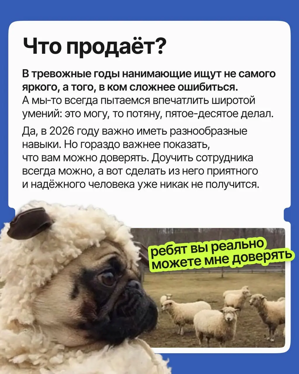 Талант и огромный опыт перестали быть главным аргументом в найме: сегодня работодатель, боясь ошибиться и потратить лишние ресурсы, выбирает совсем другого кандидата | Сетка — социальная сеть от hh.ru