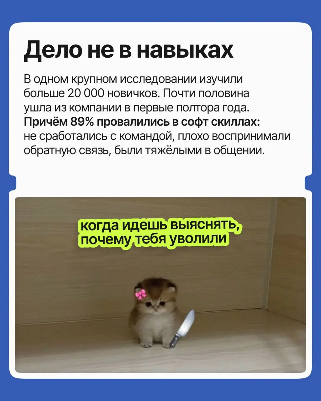 Талант и огромный опыт перестали быть главным аргументом в найме: сегодня работодатель, боясь ошибиться и потратить лишние ресурсы, выбирает совсем другого кандидата | Сетка — социальная сеть от hh.ru