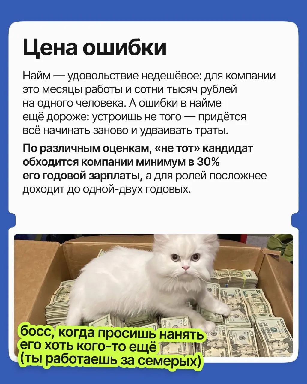 Талант и огромный опыт перестали быть главным аргументом в найме: сегодня работодатель, боясь ошибиться и потратить лишние ресурсы, выбирает совсем другого кандидата | Сетка — социальная сеть от hh.ru