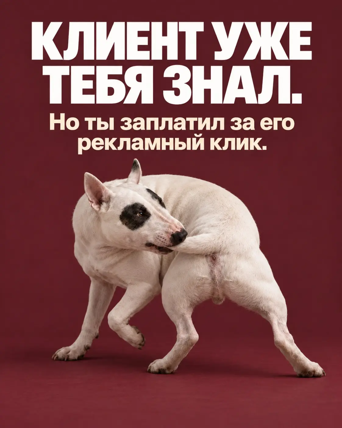 Яндекс берёт с тебя деньги за твоих же клиентов, а ты и рад | Сетка — социальная сеть от hh.ru