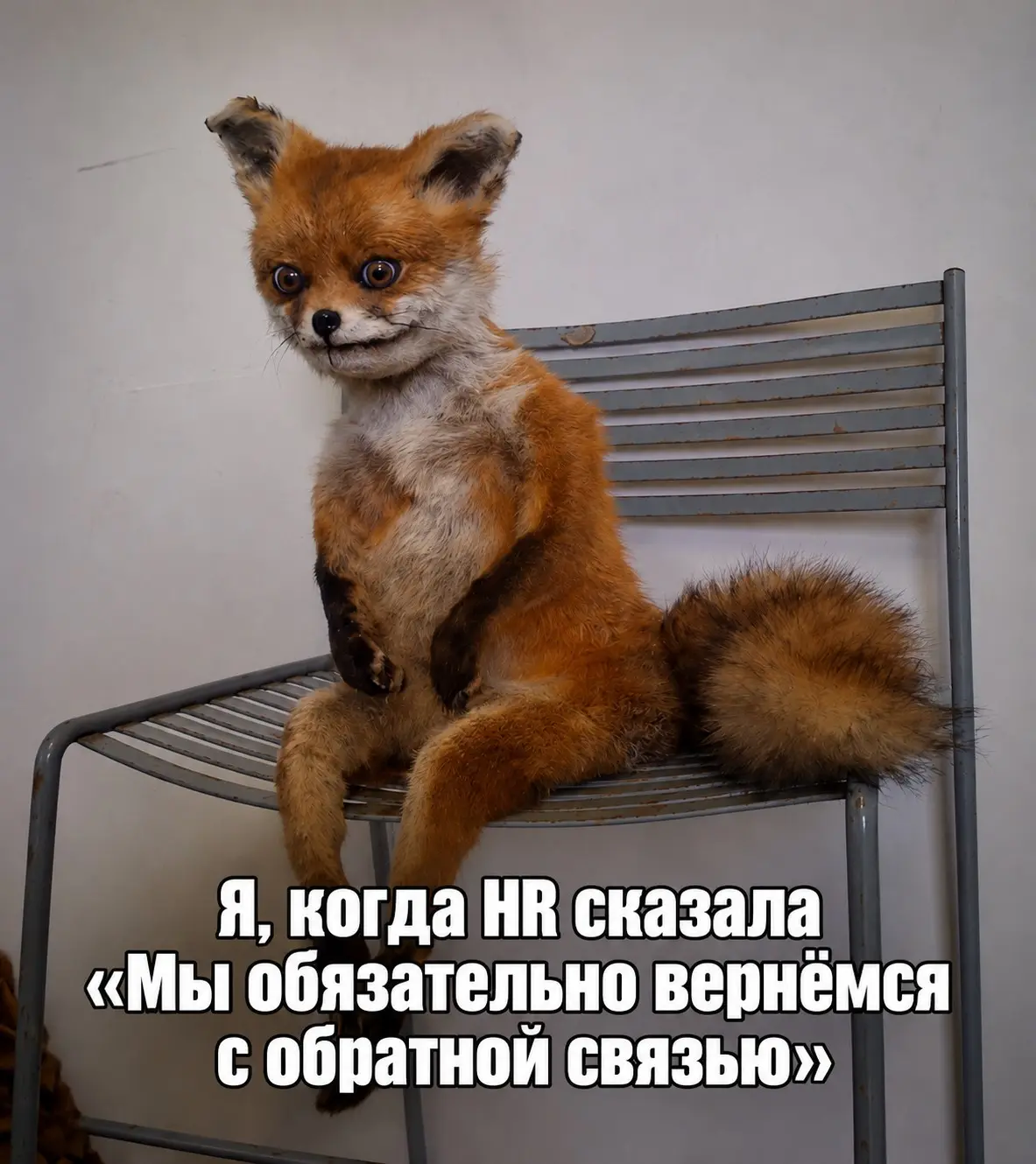День 1. Через неделю я останусь без работы | Сетка — социальная сеть от hh.ru