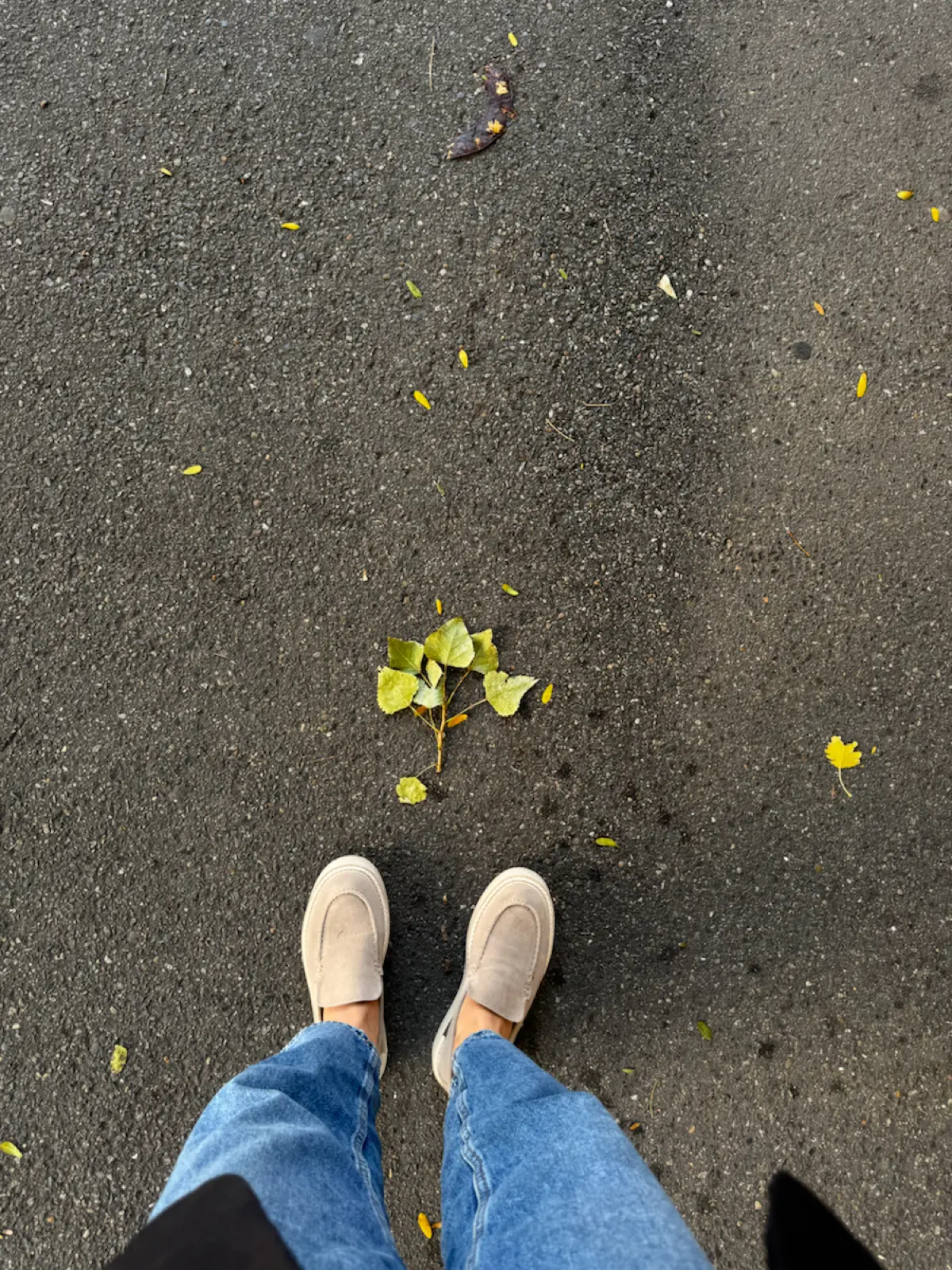 Осень в Ростове 🍂 | Сетка — социальная сеть от hh.ru