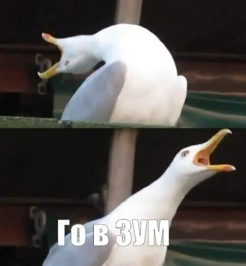 Чайка-менеджмент | Сетка — социальная сеть от hh.ru