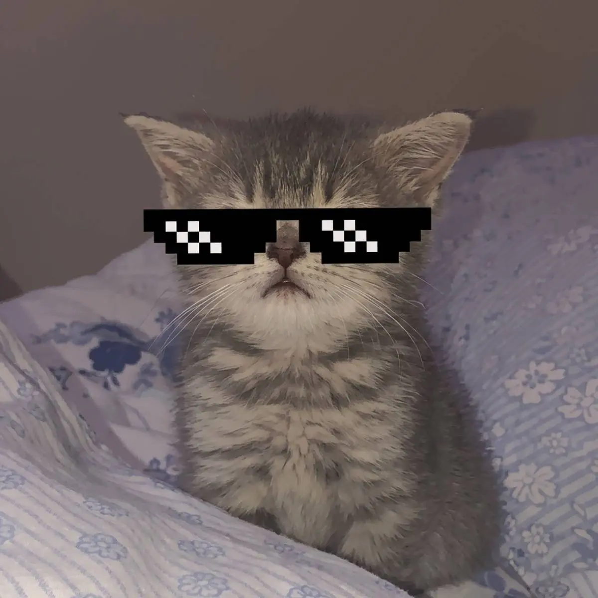Ремарк Зиганшин