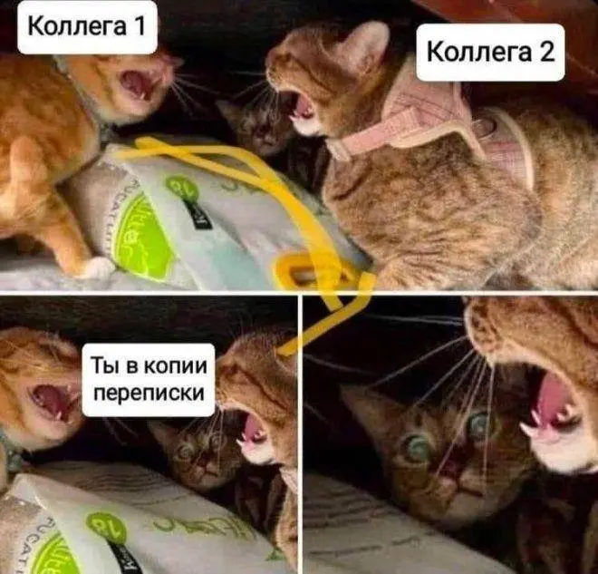Было, было... | Сетка — социальная сеть от hh.ru