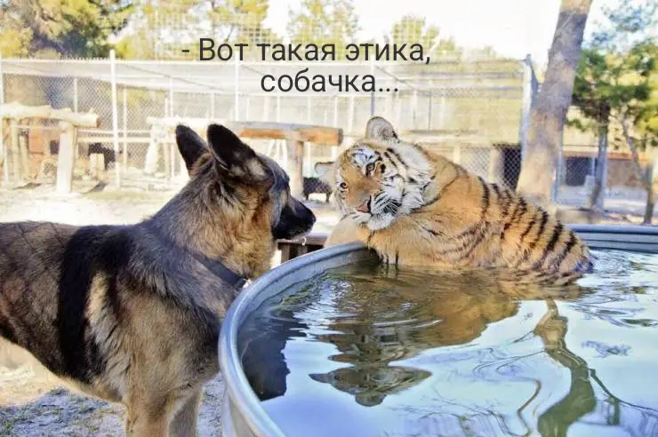 Ночная этика | Сетка — социальная сеть от hh.ru