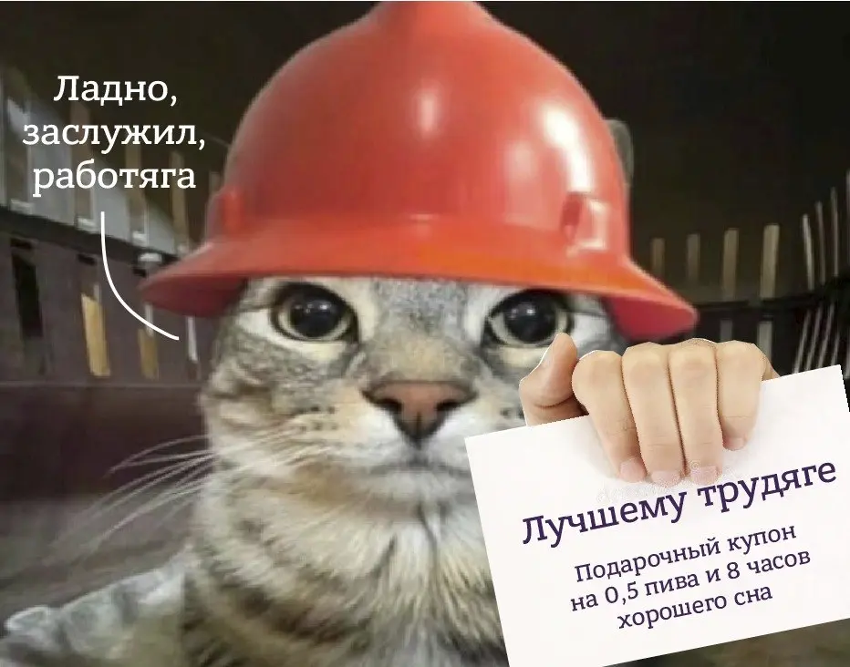 Я использую свою Сетку как мем паблик | Сетка — социальная сеть от hh.ru
