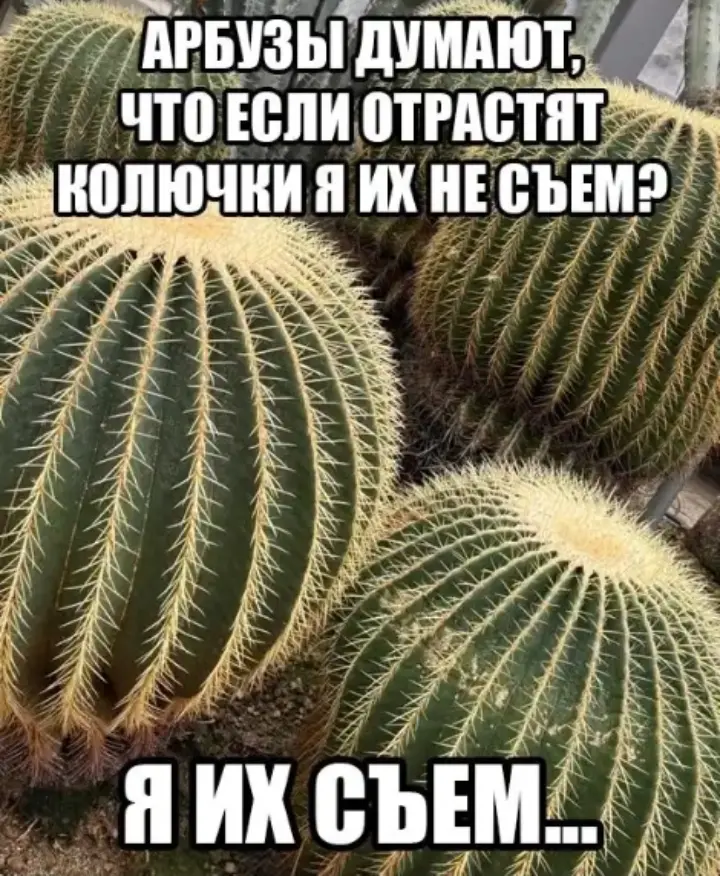 Я использую свою Сетку как мем паблик | Сетка — социальная сеть от hh.ru