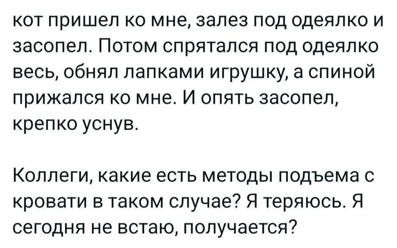 Можно сразу брать отпуск 😂
От любимого клиента Елены ❤️
БЛОГ В ТГ / БЛОГ В MAX
#Юмор #Коты
В этом посте были ссылки, но мы их удалили по правилам Сетки | Сетка — социальная сеть от hh.ru