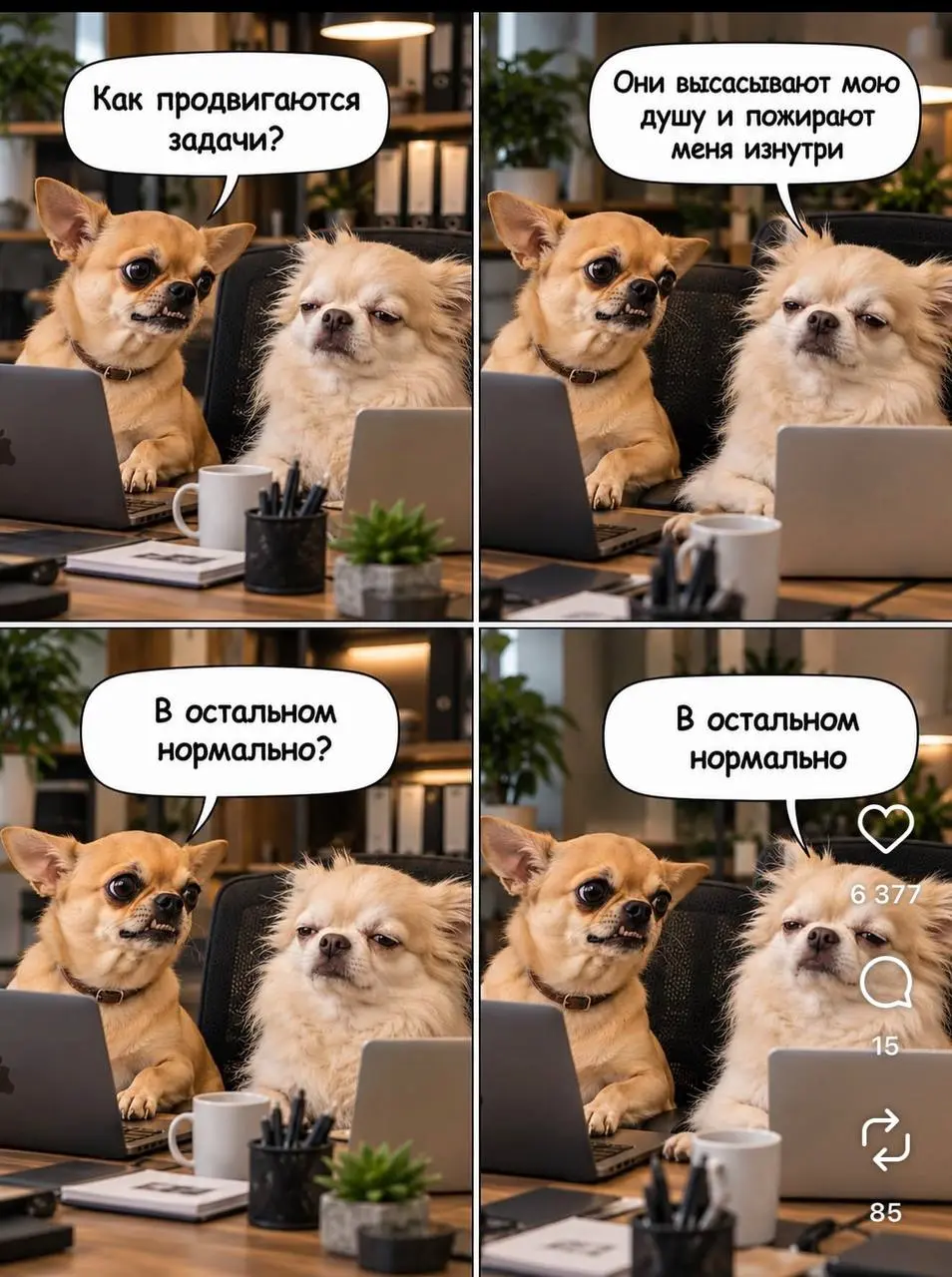 #пятничное
Яркий муд осени.
Всем продуктивного дня! | Сетка — социальная сеть от hh.ru