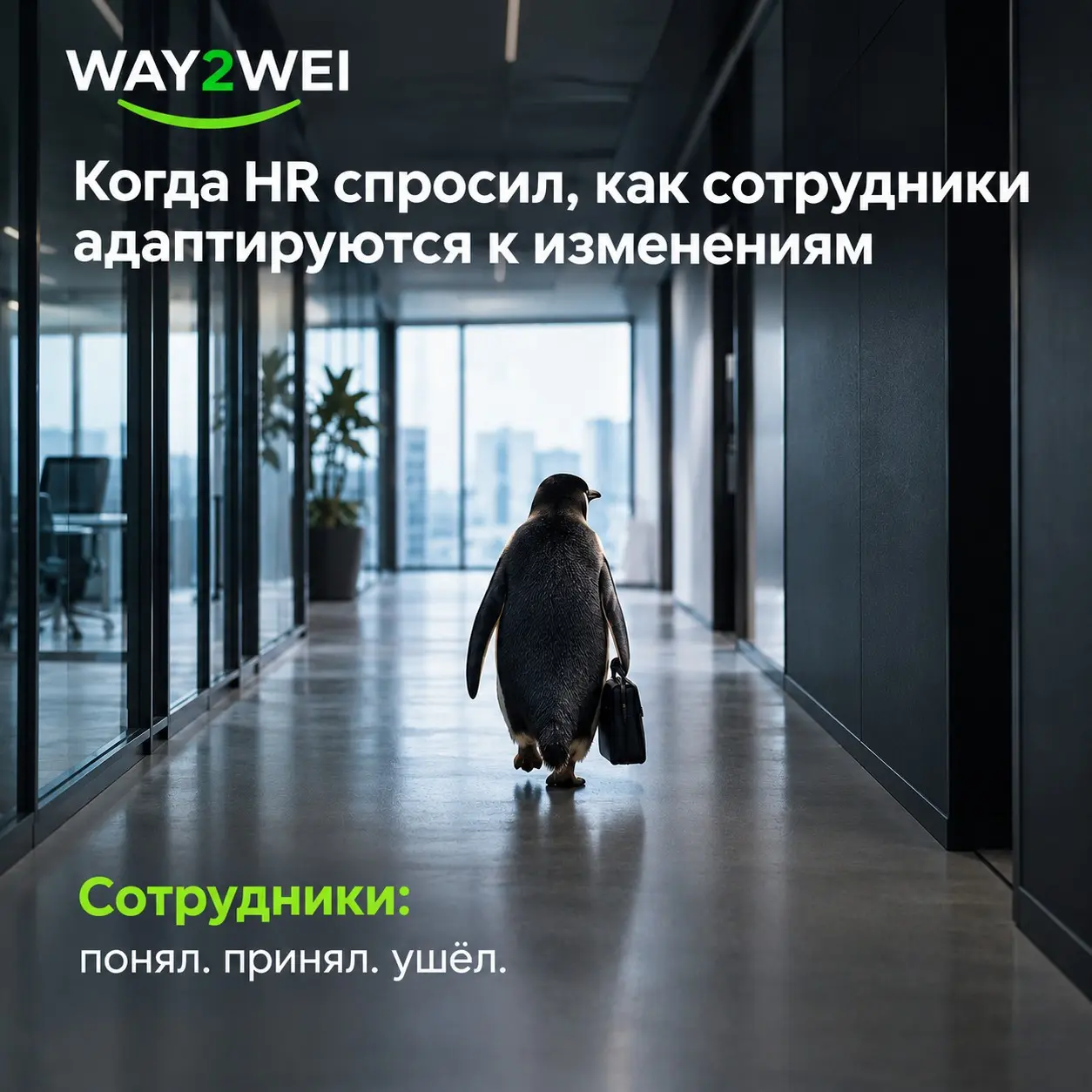 Сначала меняется состояние сотрудников | Сетка — социальная сеть от hh.ru