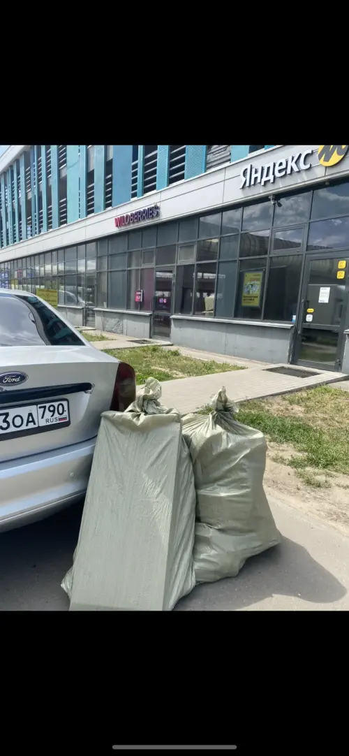 Михаил Плешанов
