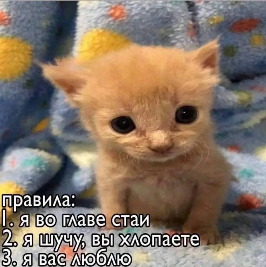 Правила Перерыва с HRlink на эту пятницу
1. Мы вместе хихикаем
2. Провожаем рабочую неделю в хорошем настроении
#Интересное | Сетка — социальная сеть от hh.ru