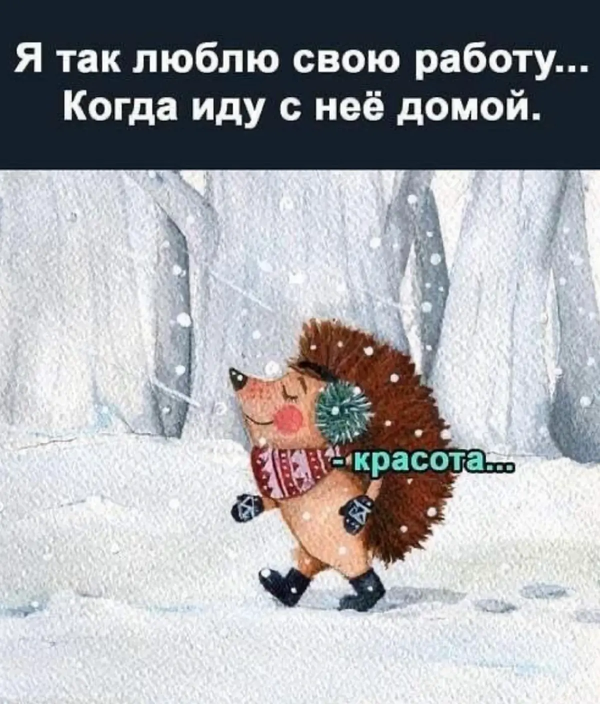 «Слушай, у меня классная работа. Интересные задачи, адекватный начальник, платят вовремя. И платят хорошо | Сетка — социальная сеть от hh.ru